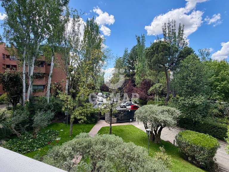 Apartment for Rent in Madrid, Madrid 31