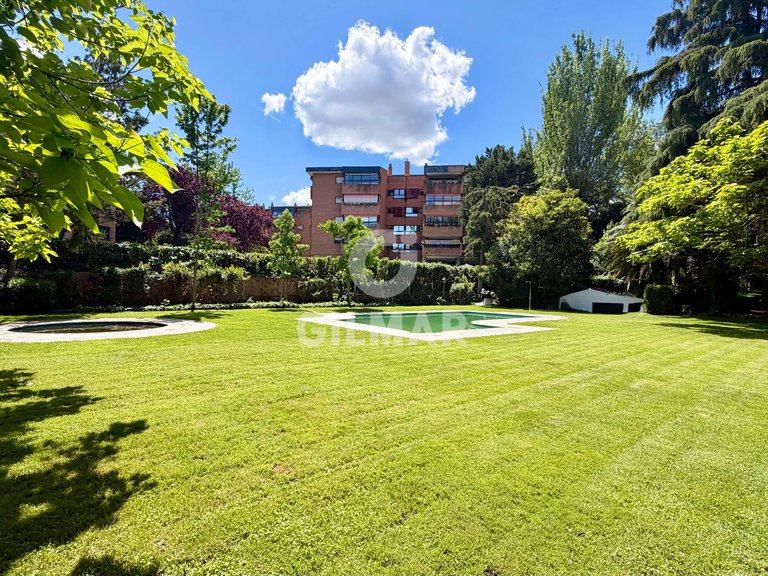 Apartment for Rent in Madrid, Madrid 1