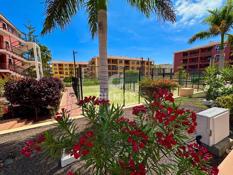 Apartment for Sale in Palm-mar, Tenerife 37