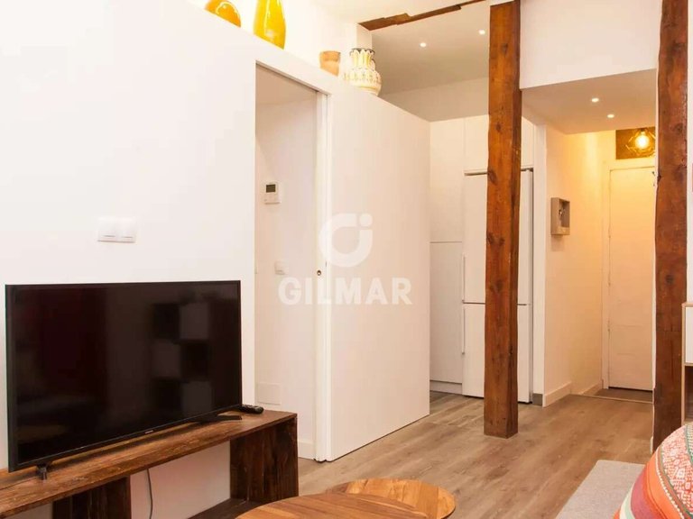 Apartment for Rent in Madrid, Madrid 5