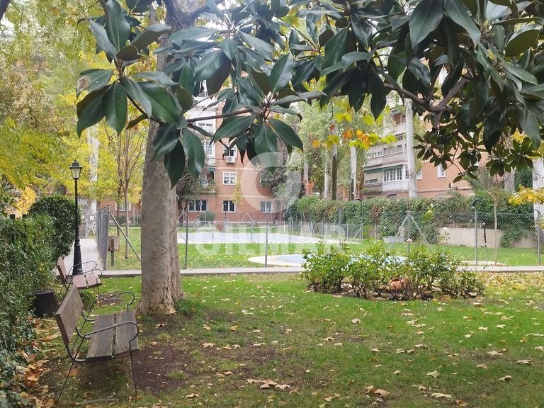 Apartment for Rent in Madrid, Madrid 30