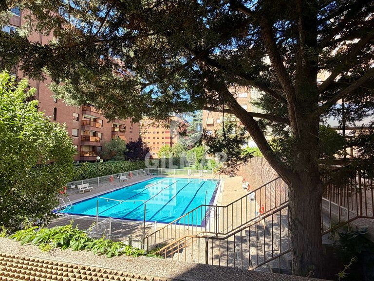 Apartment for Rent in Madrid, Madrid 34