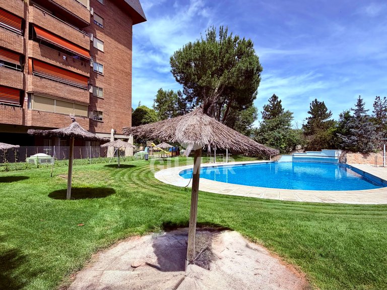 Apartment for Rent in Madrid, Madrid 29