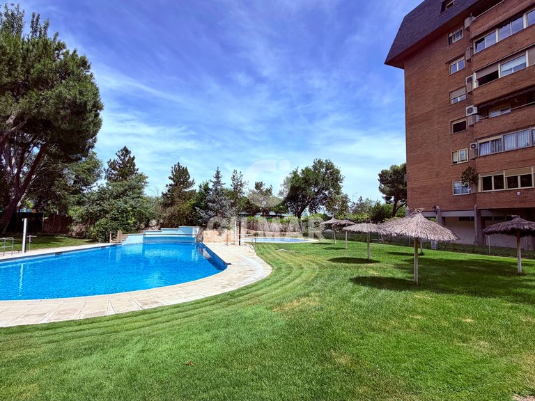 Apartment for Rent in Madrid, Madrid 28