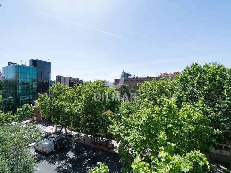 Apartment for Rent in Madrid, Madrid 49