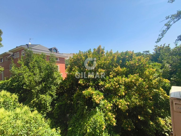 Apartment for Rent in Madrid, Madrid 6