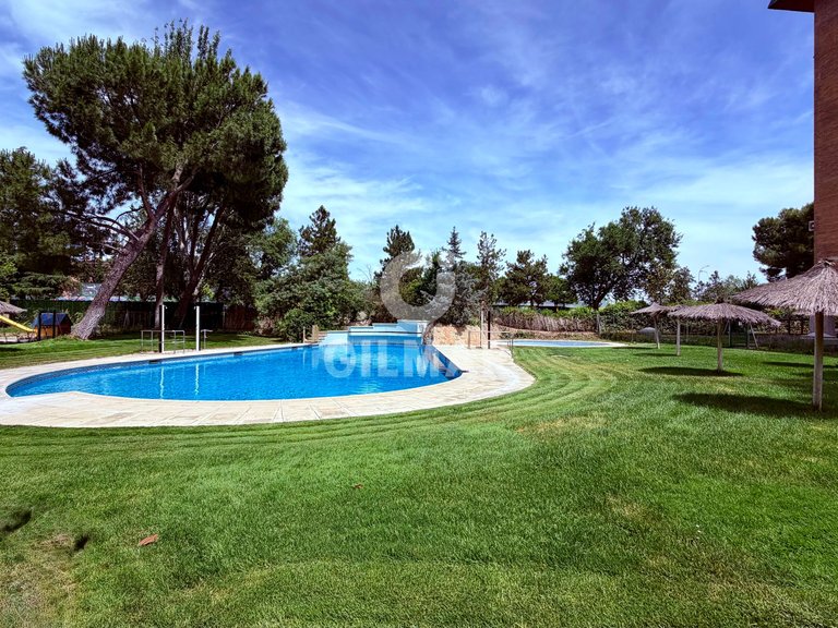 Apartment for Rent in Madrid, Madrid 30