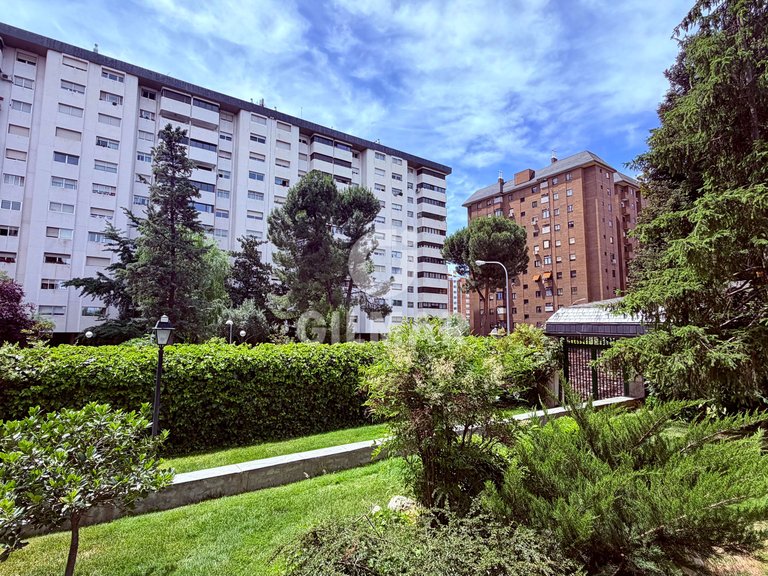 Apartment for Rent in Madrid, Madrid 12