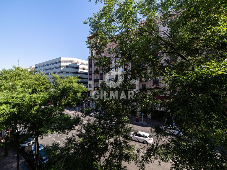 Apartment for Rent in Madrid, Madrid 3
