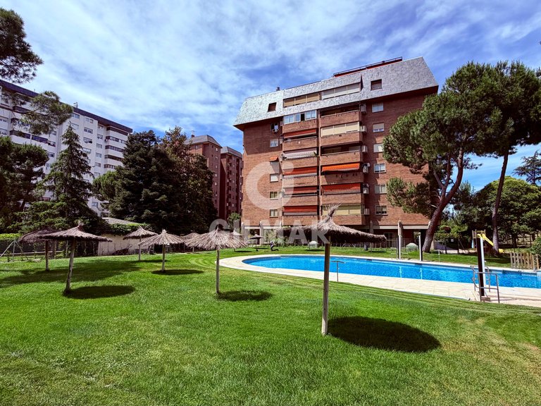 Apartment for Rent in Madrid, Madrid 25