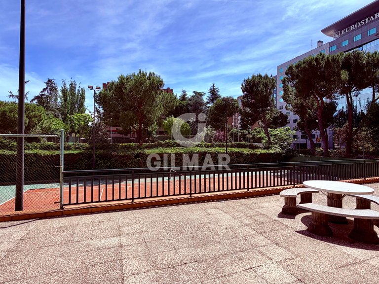 Apartment for Rent in Madrid, Madrid 21