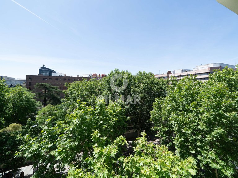Apartment for Rent in Madrid, Madrid 50