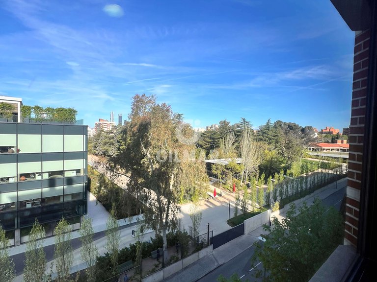 Apartment for Rent in Madrid, Madrid 6