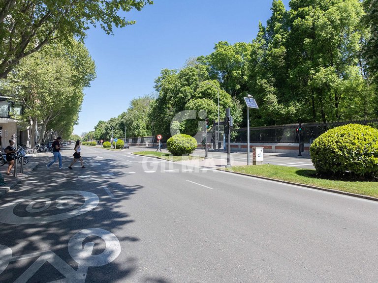 Apartment for Rent in Madrid, Madrid 31