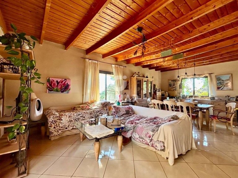 Villa for Sale in AlcalÁ, Tenerife 24