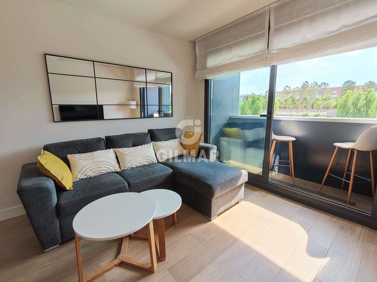 Apartment for Rent in Madrid, Madrid 15