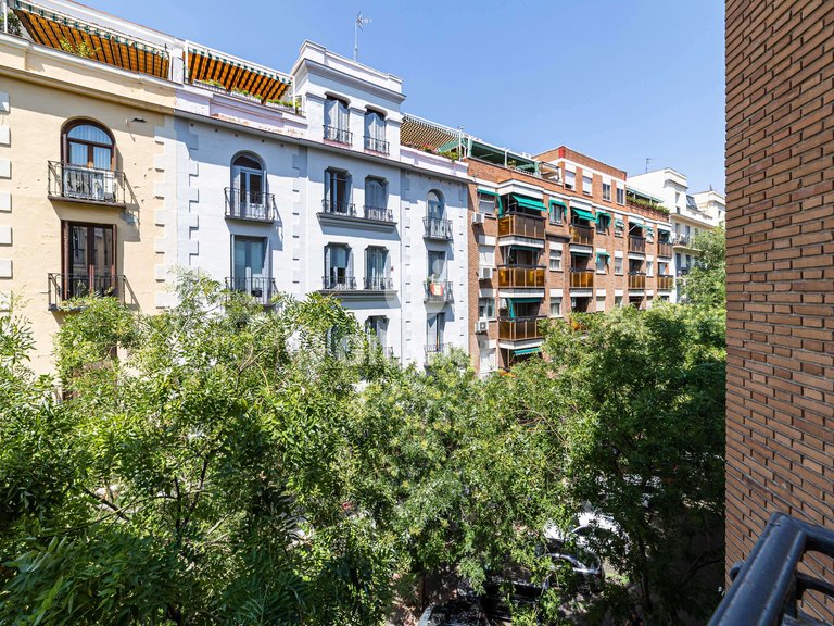 Apartment for Rent in Madrid, Madrid 22