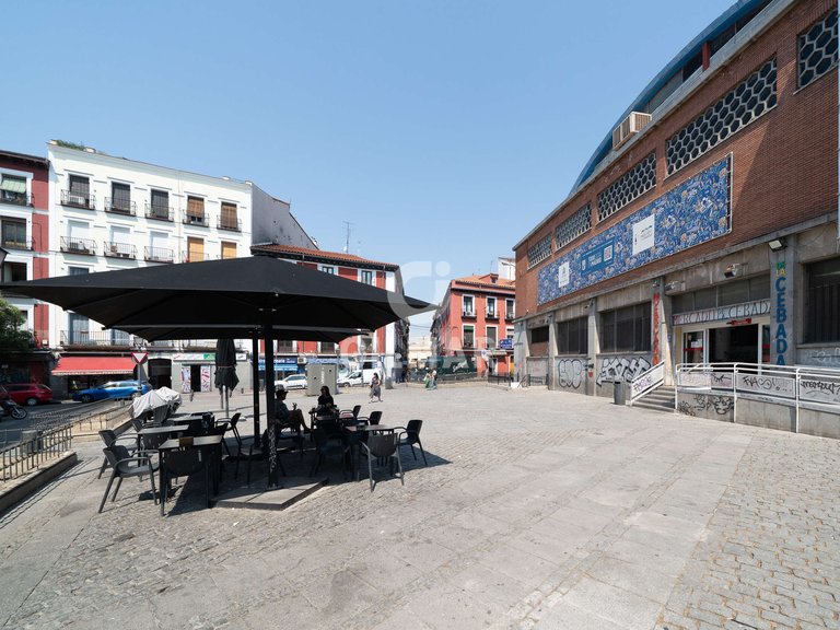 Apartment for Rent in Madrid, Madrid 24