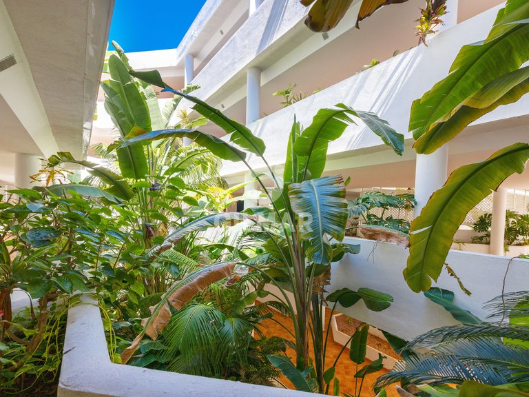 Apartment for Sale in Marbella, Malaga 42