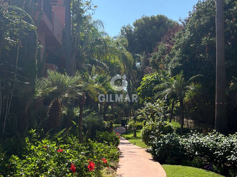 Apartment for Rent in Marbella, Malaga 5