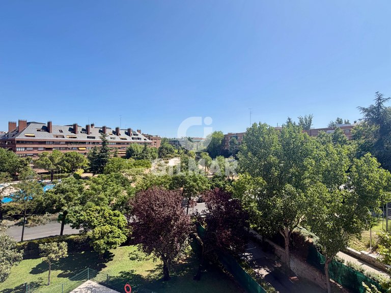 Apartment for Rent in Madrid, Madrid 9