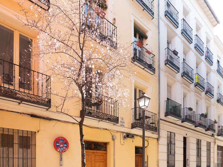 Commercial for Sale in Madrid, Madrid 29