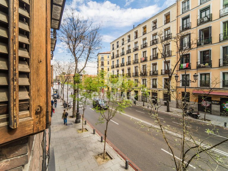 Apartment for Rent in Madrid, Madrid 24