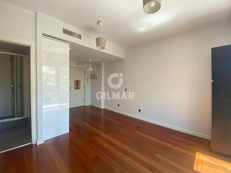 Apartment for Rent in Madrid, Madrid 5