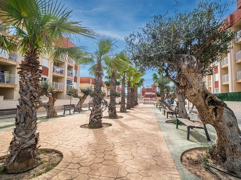 Apartment for Sale in LOMAS DE CABO ROIG, Orihuela Costa, Alicante 13