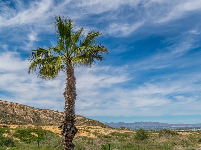 Apartment for Sale in Algorfa, Alicante 27