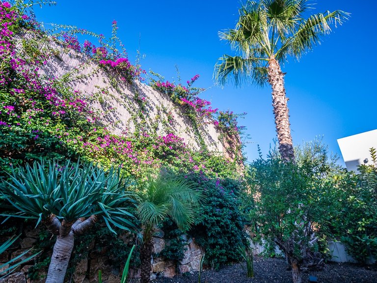 Villa for Sale in LA FINCA GOLF / ALGORFA, Algorfa, Alicante 16