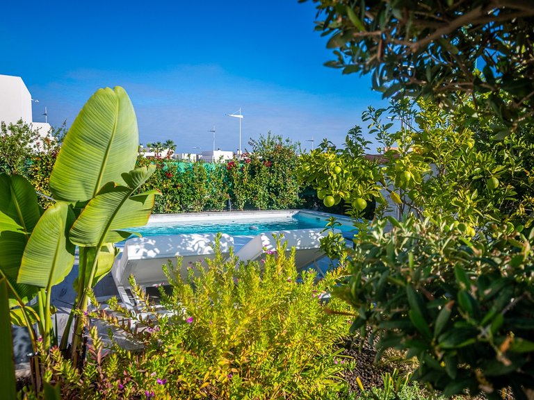 Villa for Sale in LA FINCA GOLF / ALGORFA, Algorfa, Alicante 9