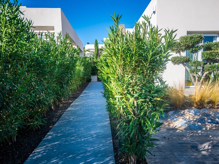Villa for Sale in LA FINCA GOLF / ALGORFA, Algorfa, Alicante 13