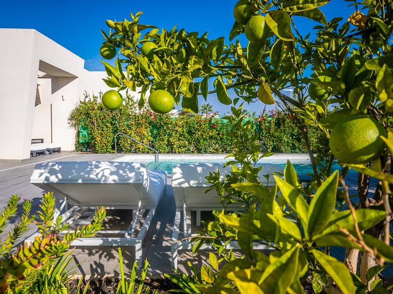 Villa for Sale in LA FINCA GOLF / ALGORFA, Algorfa, Alicante 11