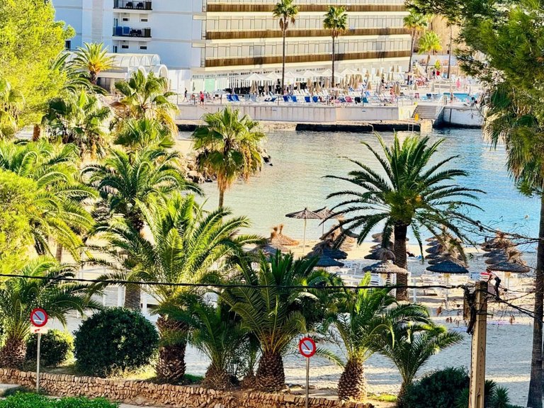 Apartment for Sale in Calvià, Cala Vinyes, Balearic Islands 1
