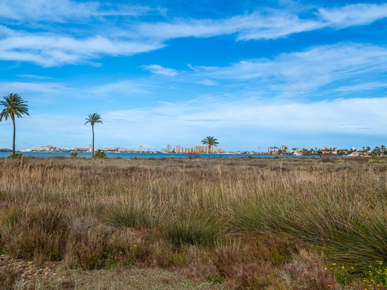 Apartment for Sale in Mar de Cristal, Cartagena, Murcia 33
