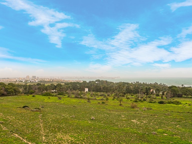 Apartment for Sale in Punta Prima, Torrevieja, Alicante 3