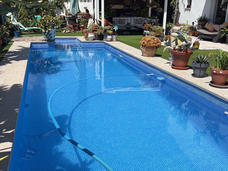 Villa for Sale in Torreta - Florida, Torrevieja, Alicante 5