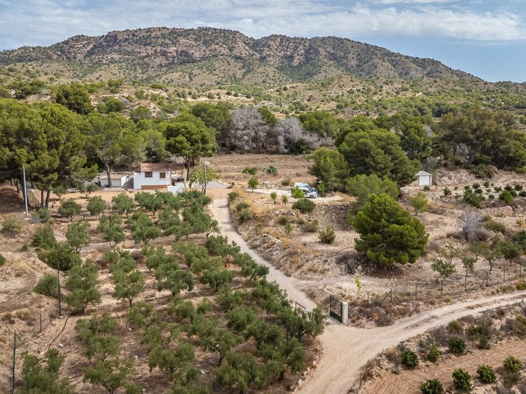 Villa for Sale in La Tercia, Murcia 2