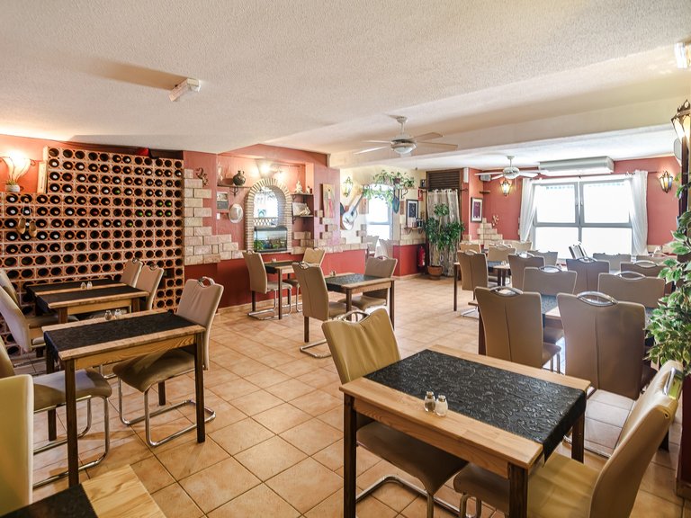 Commercial for Sale in La Veleta, Torrevieja, Alicante 5