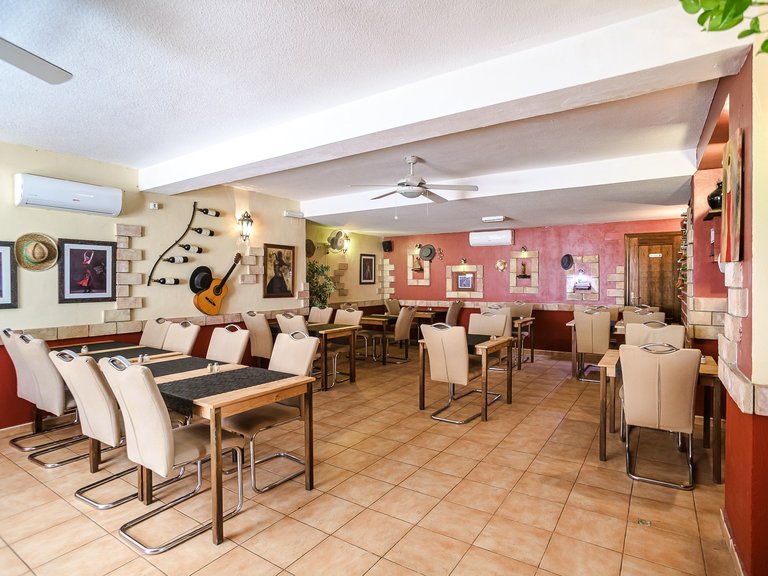 Commercial for Sale in La Veleta, Torrevieja, Alicante 4