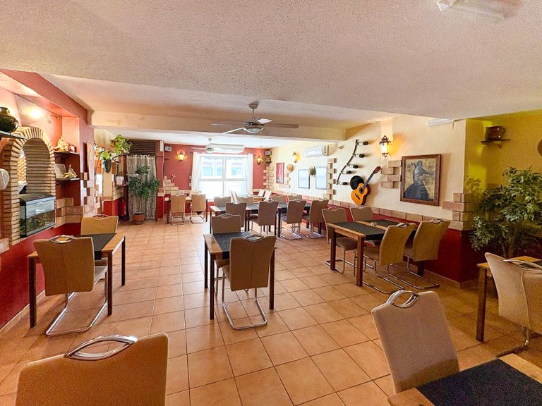 Commercial for Sale in La Veleta, Torrevieja, Alicante 6