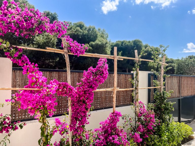 Apartment for Sale in San Javier, Murcia 30