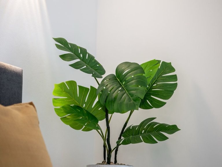 Apartment for Sale in Punta Prima, Orihuela Costa, Alicante 21