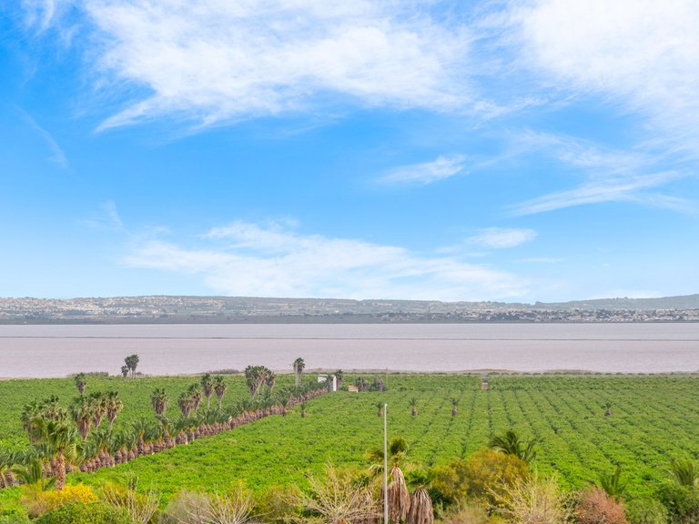 Apartment for Sale in Los Balcones, Torrevieja, Alicante 2