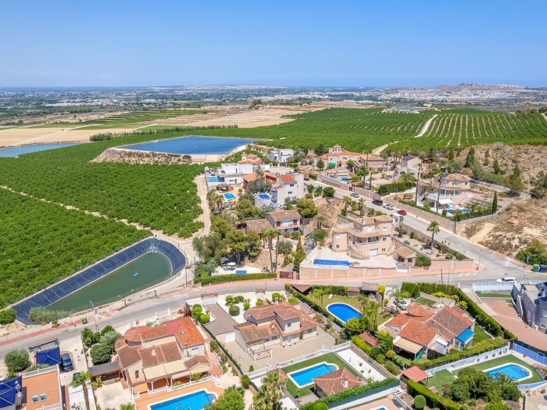 Villa for Sale in Lomas De La Juliana, Algorfa, Alicante 7