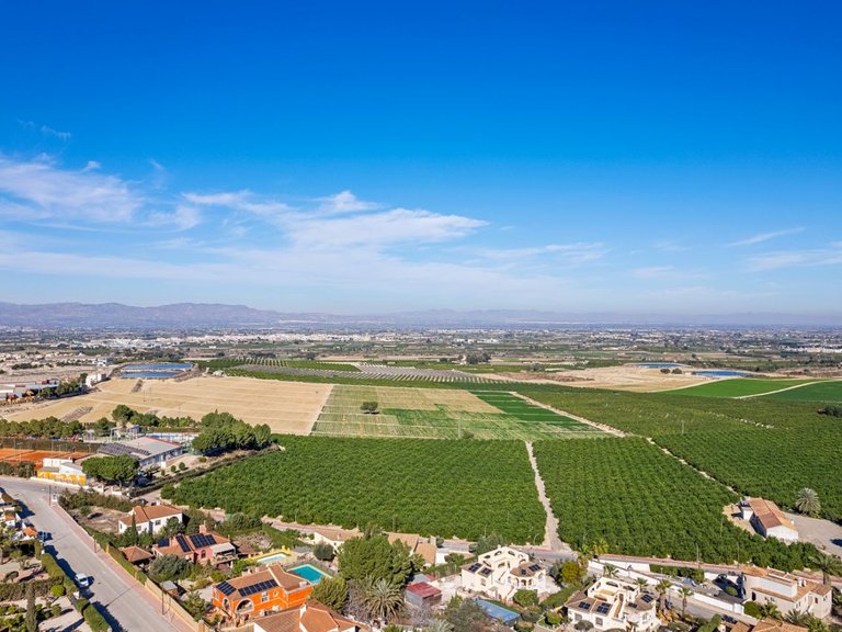 Villa for Sale in Lomas de La Juliana, Almoradi, Alicante 13