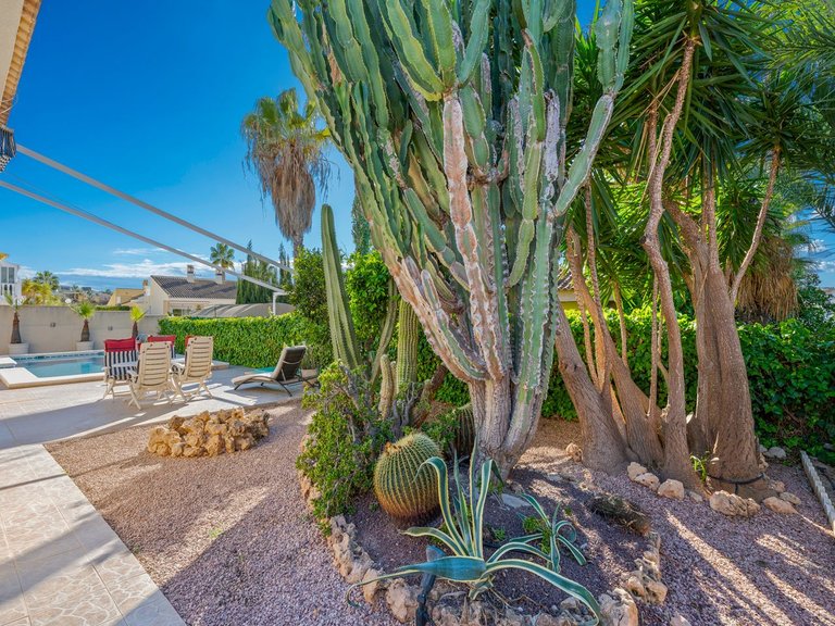 Villa for Sale in Benimar, Benijófar, Alicante 7