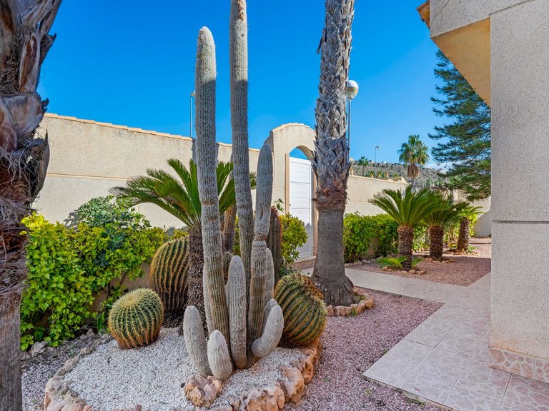 Villa for Sale in Benimar, Benijófar, Alicante 10