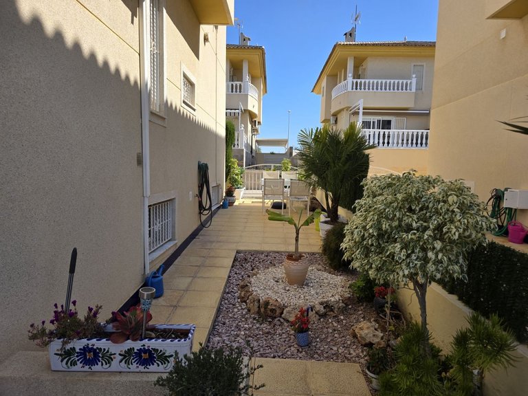 Town House for Sale in Benimar, Benijófar, Alicante 15
